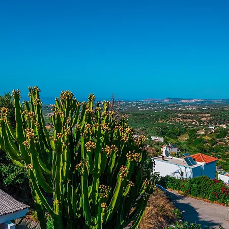 Alexandra And Francesca